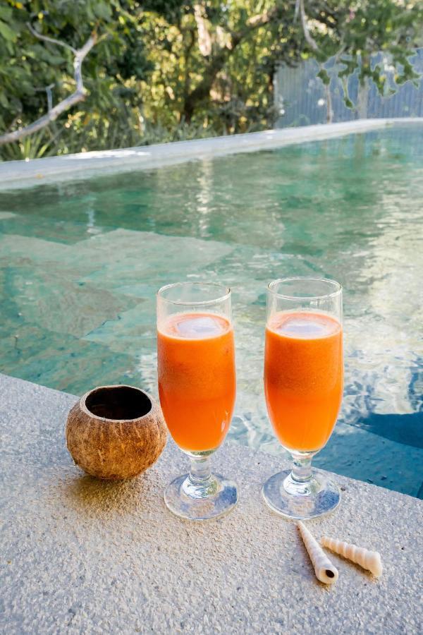 Antema Lodge Secteur Tamarindo, Piscine, Yoga, Gym, Jungle Et Paix Luaran gambar